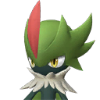 Robinquill